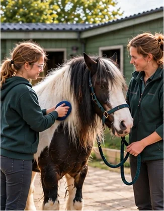 A girl grooming a black and white cob while a staff member holds its lead rope outside the stables