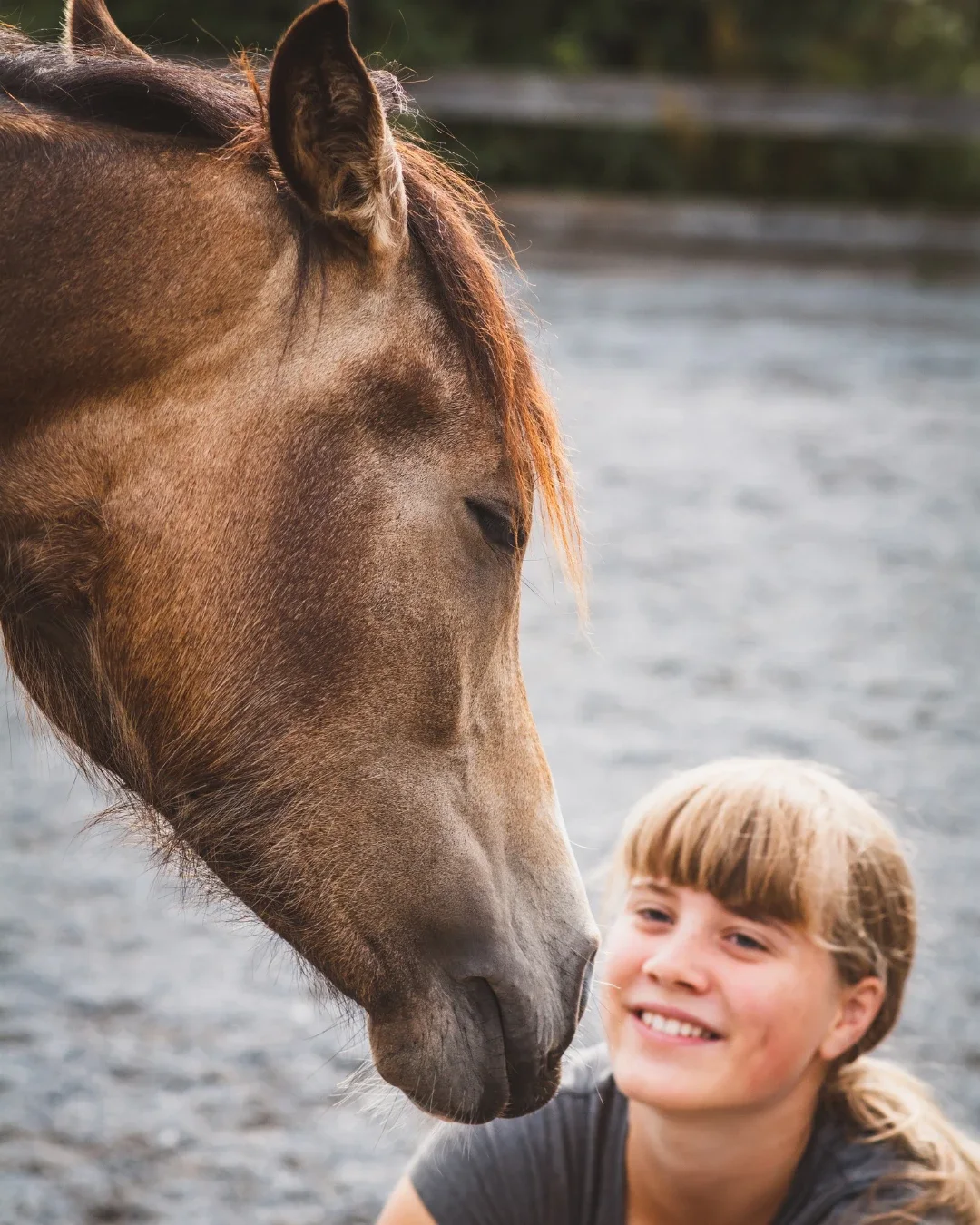 A smiling girl looking up as a calm bay pony lowers its head to meet her, its eyes closed